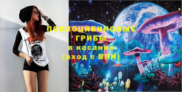 спиды Верея