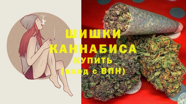 спиды Верея