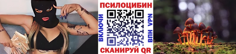 Псилоцибиновые грибы GOLDEN TEACHER Славянск-на-Кубани